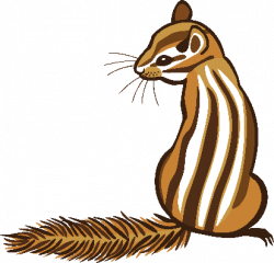 Chipmunk | Clipart | Science | Image | PBS LearningMedia