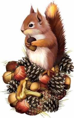 210 best Chipmunk & Squirrel images on Pinterest | Art paintings ...