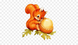 Squirrel Raccoon Chipmunk Cuteness Clip art - Vintage Squirrel png ...