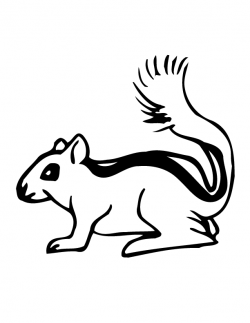 Realistic Chipmunk Coloring Pages# 2647774