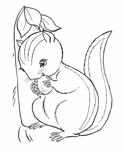 Image detail for -Striped squirrels Coloring Pages ...