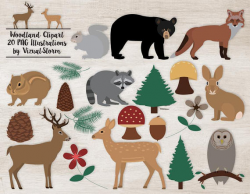 Woodland Clipart Forest Animals Plants Trees Flowers Woodland Animal ...
