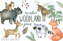 Winter Woodland Animals Clipart | Watercolor Forest Animals - Winter ...