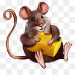 Gerbil PNG and PSD Free Download - Golden hamster Mouse Rodent ...