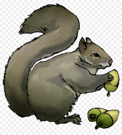 Eastern gray squirrel Chipmunk Rodent Clip art - squirrel png ...