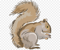 Eastern gray squirrel Chipmunk Clip art - Tribal Squirrel Cliparts ...