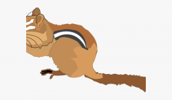 Banner Library Download Chipmunk Clipart Squirrel Tail ...