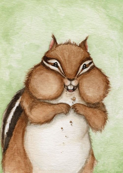The Happiest Chipmunk Ever | Chipmunks, Illustrations and Drawings