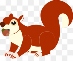 Tree squirrel Paper Nut Zazzle - squirrel png download - 1280*1280 ...