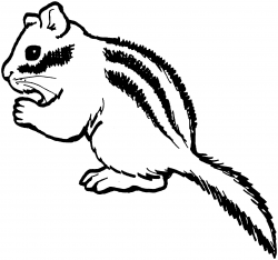 Chipmunk Clipart Black and White | How To Format Cover Letter