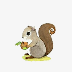 Painted Hold Nuts Squirrel, Hand Painted Material, Squirrel, Nut PNG ...