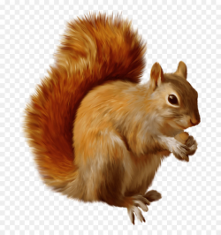 Chipmunk Squirrel Rodent Clip art - ANIMAl png download - 883*941 ...