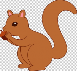 Squirrel Chipmunk Free Content PNG, Clipart, American Red ...