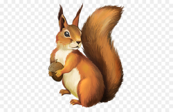 Chipmunk A Christmas Squirrel Clip art - squirrel png download - 750 ...