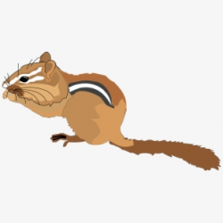 Chipmunk Clipart Squirrel Tail - Chipmunk Clipart #244574 ...