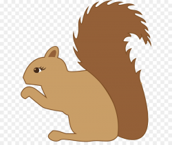 Squirrel Chipmunk Silhouette Clip art - squirrel png download - 684 ...