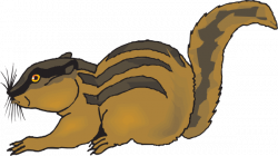 Startled Chipmunk Clip Art at Clker.com - vector clip art online ...