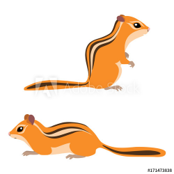 Vector illustration of standing and sitting chipmunks ...
