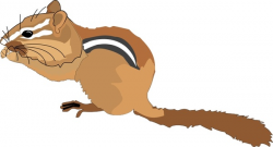 Chipmunk 2 Free vector in Open office drawing svg ( .svg ) vector ...