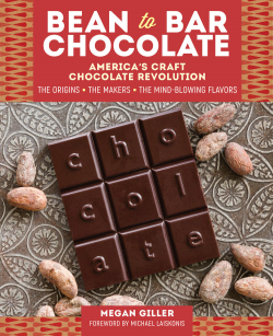 Stories about American craft chocolate by Megan GillerChocolate Noise