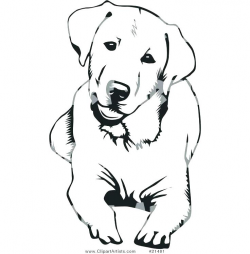 Retriever Coloring Pages Short Hair Dog Chocolate Lab Puppy Yellow ...