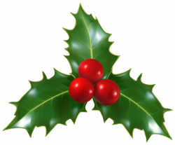 Christmas Holly Mistletoe PNG Clip-Art Image | karácsony, angyalok ...