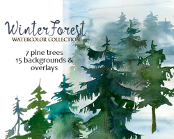 Pine Trees Watercolor Clipart Fir Trees PNG Christmas Winter Forest ...
