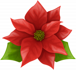 Christmas Poinsettia PNG Clip Art Image | Gallery Yopriceville ...