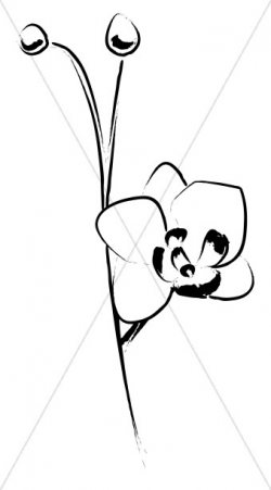 Elegant Flower Accent Sketch | Church Flower Clipart
