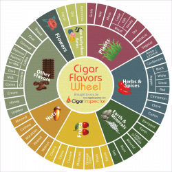 Cigar Aroma Kit - 12 or 24 aromas