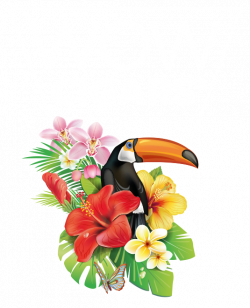 WOW-Cigars