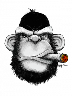 It's a monkey with a cigar | oriental | Pinterest | Cigar and Monkey