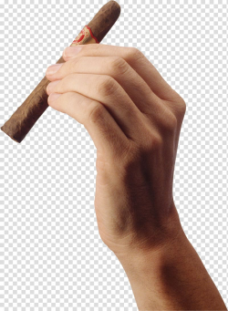 Person left hand holding tobacco, Cigarette Blunt Tobacco ...