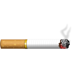 Cigarette Clip art - Cigarette 1000*1000 transprent Png Free ...