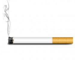 28+ Collection of Cigarette Clipart Transparent Background | High ...