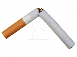 Broken Cigarette by Bunny-with-Camera on DeviantArt