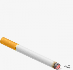 It Has A Lighted Cigarette PNG, Clipart, Burned, Cartoon ...
