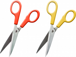 Scissors Forty-one | Isolated Stock Photo by noBACKS.com