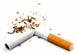 broken cigarette png - Free PNG Images | TOPpng