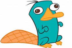 Perry the Platypus | Disney Wiki | FANDOM powered by Wikia