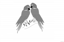 Grayscale Parrot Animal free black white clipart images clipartblack ...