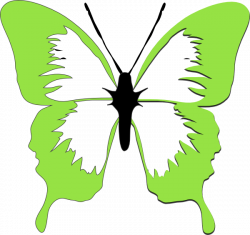 Courtney Butterfly Clip Art at Clker.com - vector clip art online ...