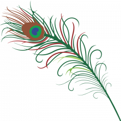 Peacock Feather Clipart at GetDrawings.com | Free for personal use ...
