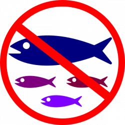 No Fishing Sign Clip Art at Clker.com - vector clip art online ...