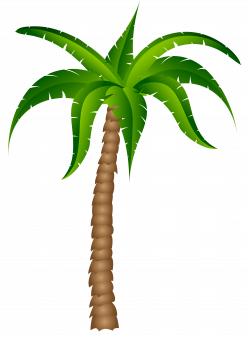 28+ Collection of Palm Tree Clipart Transparent | High quality, free ...
