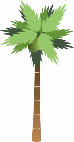 OnlineLabels Clip Art - Palm Tree