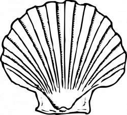 Sea Shell Silhouette at GetDrawings.com | Free for personal use Sea ...