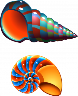 Seashell Conch Mollusc shell Clip art - Colorful conch 1200*1481 ...