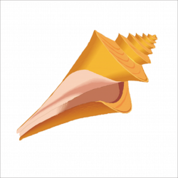 Conch Clipart at GetDrawings.com | Free for personal use Conch ...