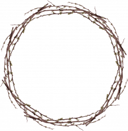 Twig Download Clip art - Twigs Ring 1355*1384 transprent Png Free ...